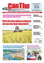 Số 241, Thứ Hai (07/09/2026)