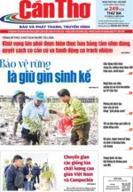 Số 249, Thứ Ba (15/09/2026)