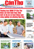 Số 252, Thứ Sáu (18/09/2026)