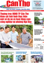 Số 252, Thứ Sáu (18/09/2026)