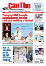 Số 275, Chủ Nhật (11/10/2026)