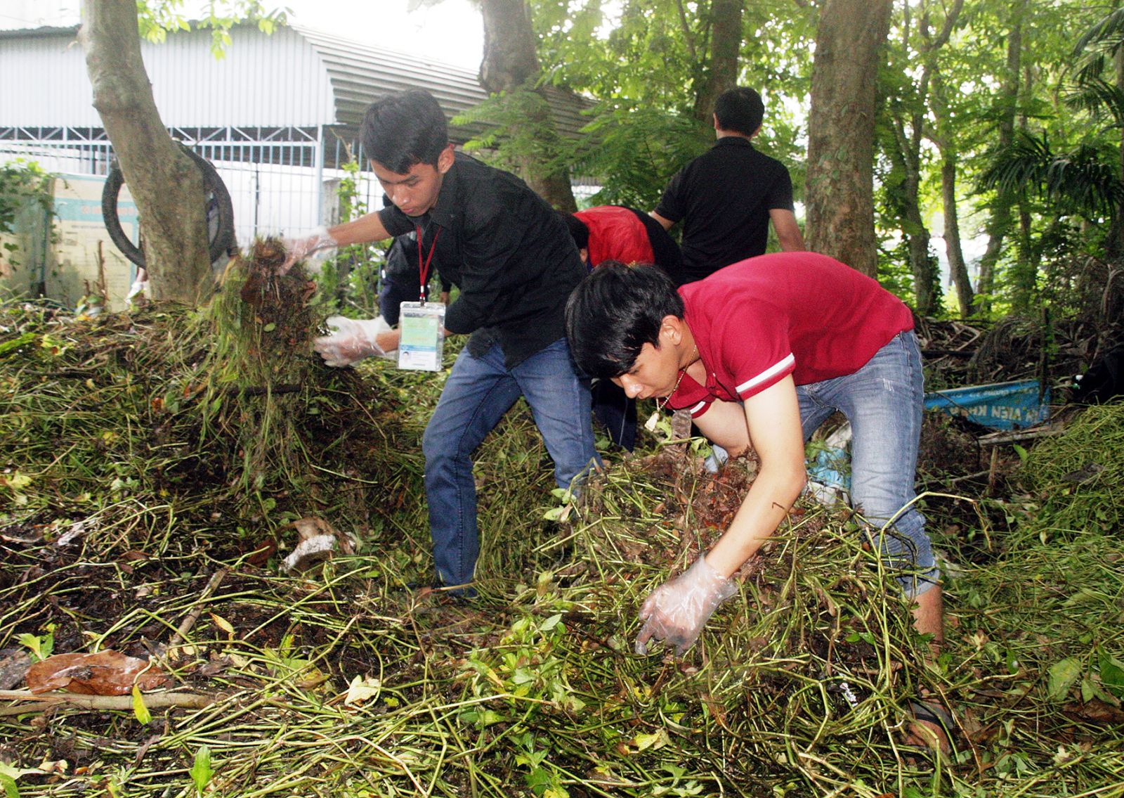 Students of Can Tho University volunteer to cut grass, keep the campus clean.