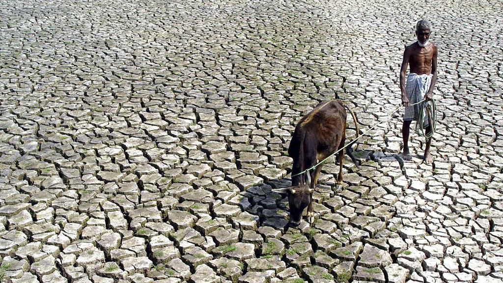 Một cánh đồng nứt nẻ vì hạn hán ở bang Tripura, Ấn Độ. Ảnh: Medical Daily