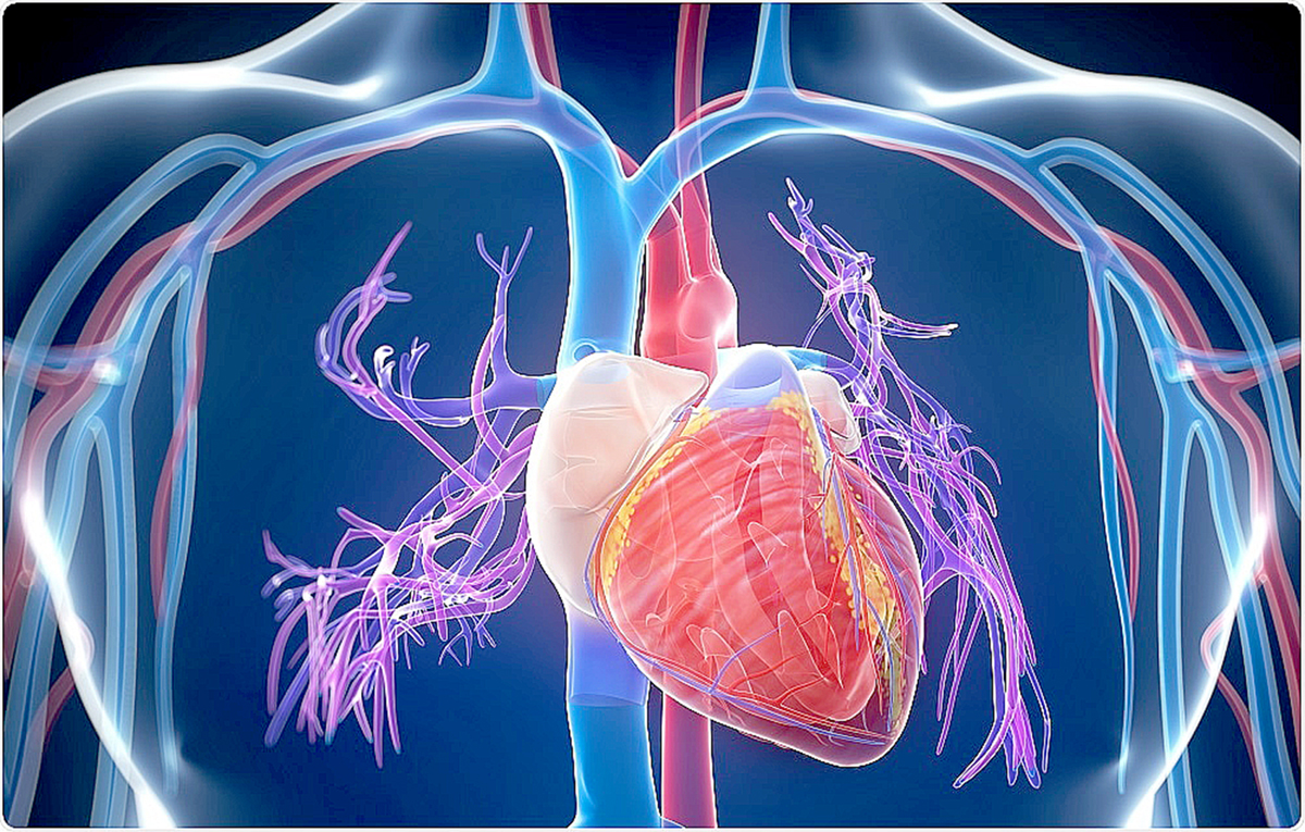 Nghiên cứu xác nhận tế bào gốc từ dây rốn có thể điều trị suy tim