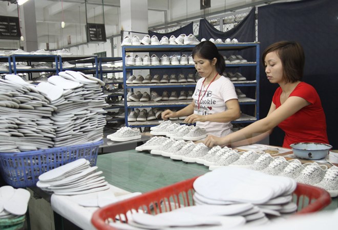 Vietnam boasts opportunities to export products to Africa, Middle East