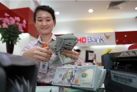 Vietnam’s forex reserves soar to record-setting 48 billion USD
