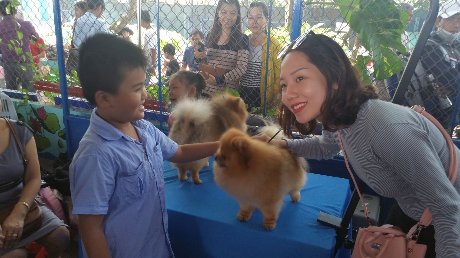 Lần đầu tiên tổ chức hội thi chó đẹp tại ĐBSCL