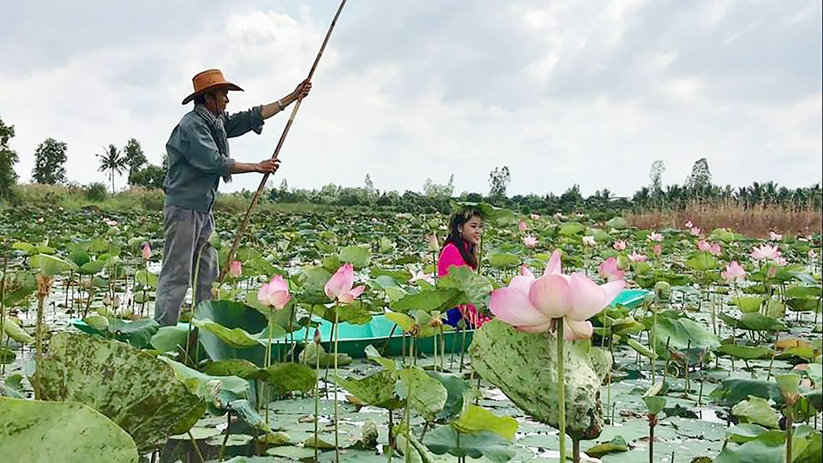 Khách du lịch tại Đồng Sen Tháp Mười tỉnh Đồng Tháp.