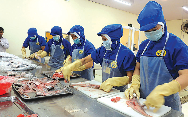 Chế biến cá thát lát xuất khẩu tại Công ty TNHH MTV Phạm Nghĩa T&N. Ảnh: MỸ THANH
