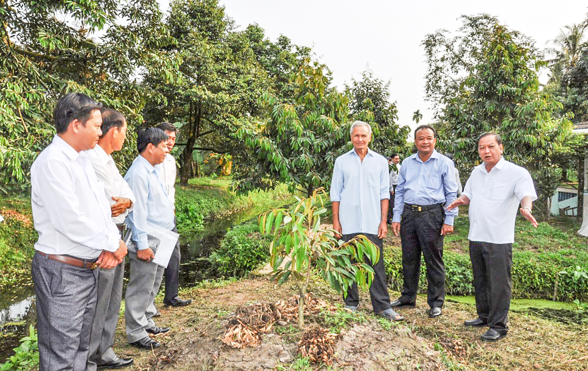 Đồng chí Trần Quốc Trung, Ủy viên Trung ương Đảng, Bí thư Thành ủy  (bìa phải) tham quan mô hình cải tạo vườn của nông dân xã Trường Thành, huyện Thới Lai.
