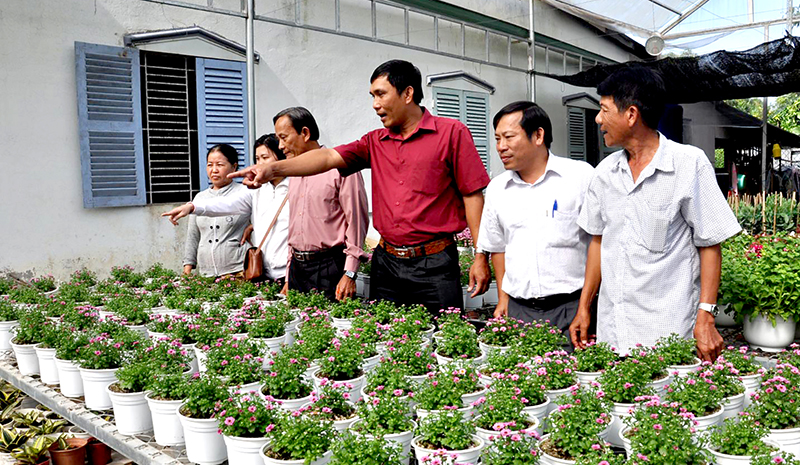 Lãnh đạo phường Long Tuyền, quận Bình Thủy tham quan mô hình trồng hoa phục vụ Tết Mậu Tuất của người dân. Ảnh: ANH DŨNG