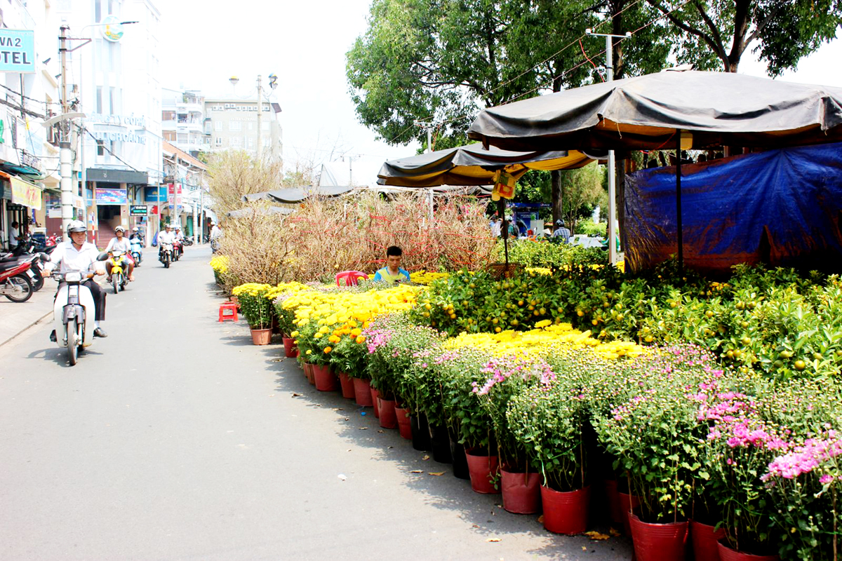 Ảnh 1: Khu vực trung tâm thành phố hoa kiểng đầy màu sắc, không khí Tết tràn ngập đường phố. Trong ảnh: Hoa kiểng người dân bày bán ở đường Hai Bà Trưng, quận Ninh Kiều.
