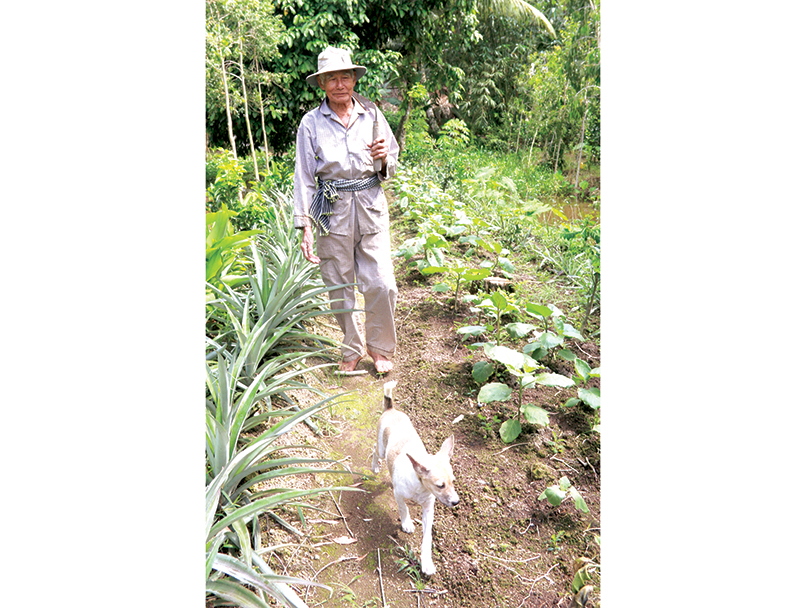 Từ hồi còn thanh niên, nay đã 82 tuổi, lão nông Bảy Buôl vẫn có thói quen dẫn theo chú chó khi đi đồng.