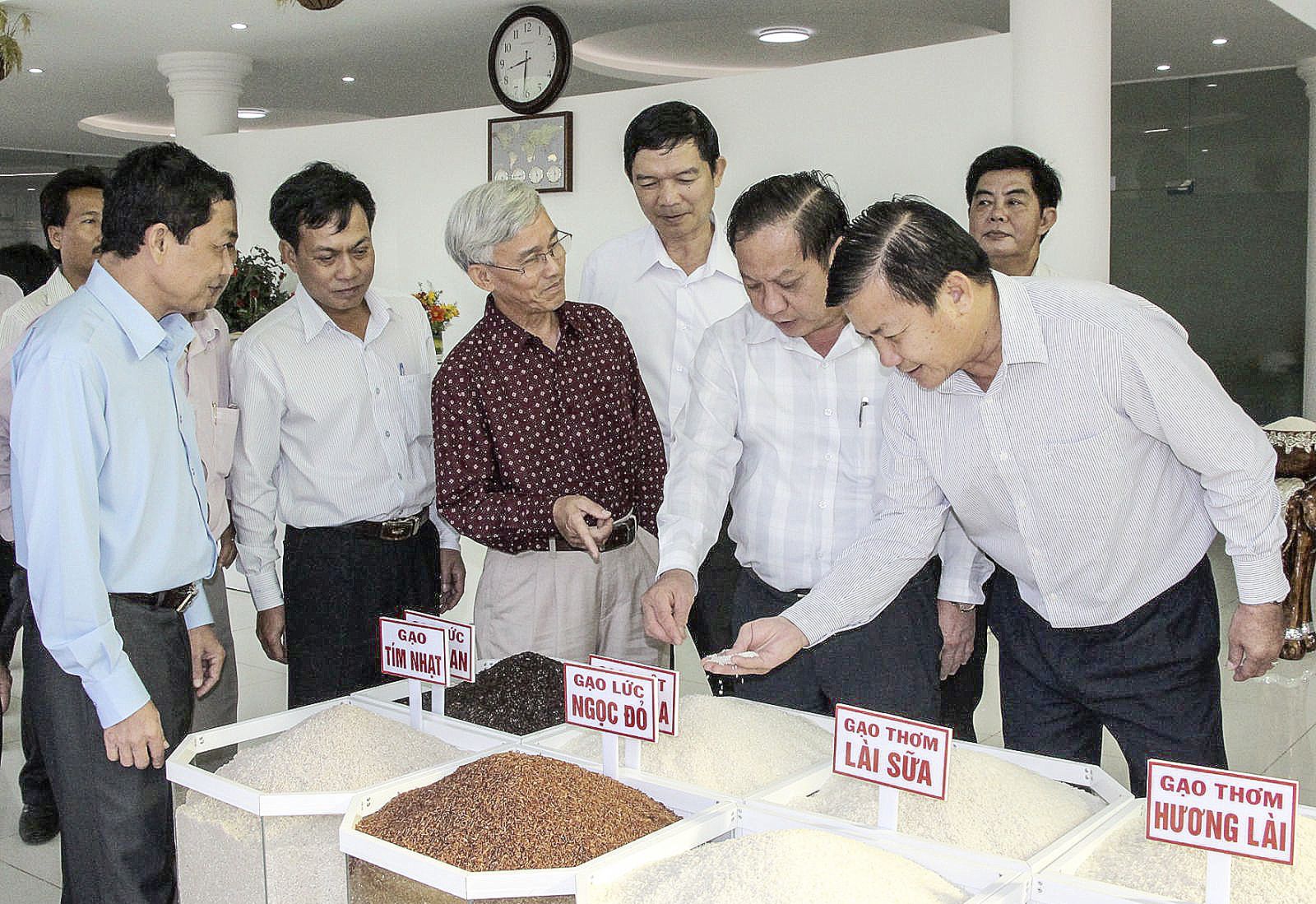 Môi trường đầu tư thông thoáng
thúc đẩy doanh nghiệp phát triển Công ty cổ phần Nông nghiệp công nghệ cao Trung An giới thiệu sản phẩm gạo của công ty đến lãnh đạo TP Cần Thơ. Ảnh: NAM HƯƠNG