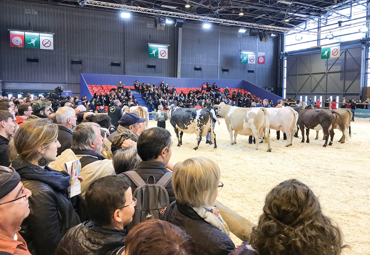 Nông nghiệp hữu cơ-"Cửa thoát hiểm" cho nông sản