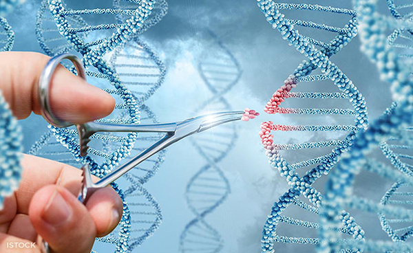 Các rối loạn di truyền thường là do dị thường trong vật liệu di truyền hay cấu trúc ADN. Ảnh: iStock