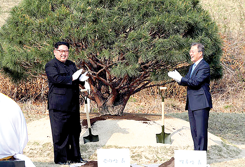Lãnh đạo Triều Tiên Kim Jong-un (trái) và Tổng thống Hàn Quốc Moon Jae-in trồng cây thông lưu niệm thể hiện khát vọng hòa bình và thịnh vượng.