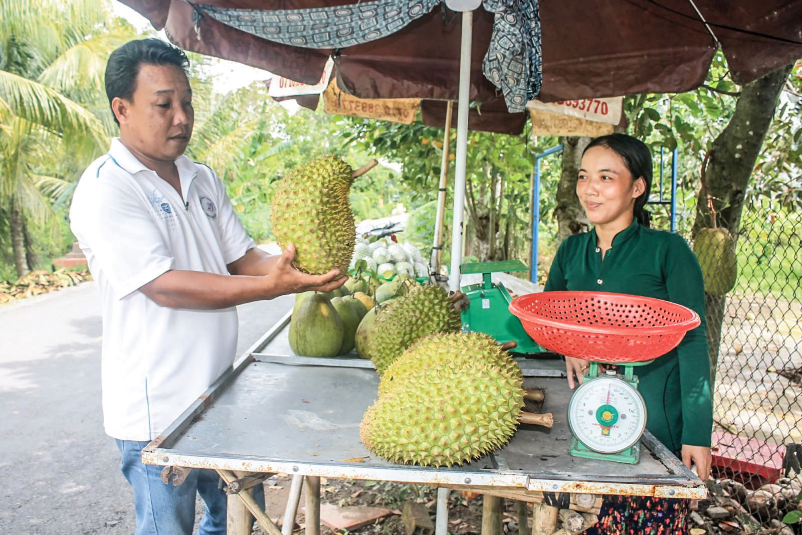 Điểm bán trái cây của chị  Nguyễn Thị Thu Trang ở xã Tân Thới, huyện Phong Điền, TP Cần Thơ. Ảnh: KHÁNH TRUNG