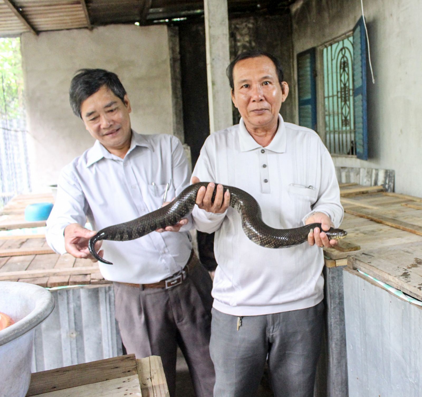 Những nông dân dám nghĩ, dám làm