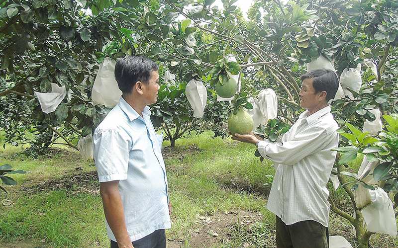 Cán bộ xã Xuân Thắng (bên trái) thăm mô hình kinh tế hiệu quả của nông dân. Ảnh: THANH THY