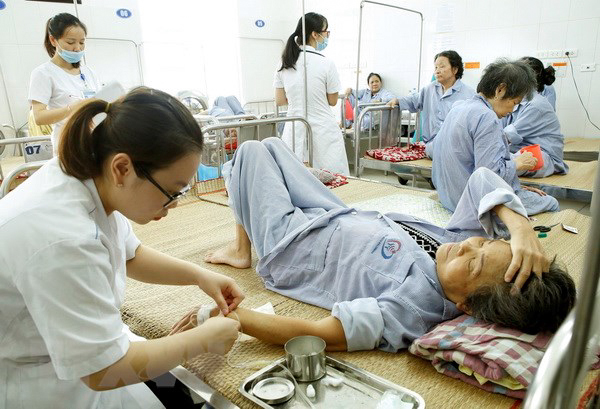 Ảnh minh họa: Dương Ngọc/TTXVN