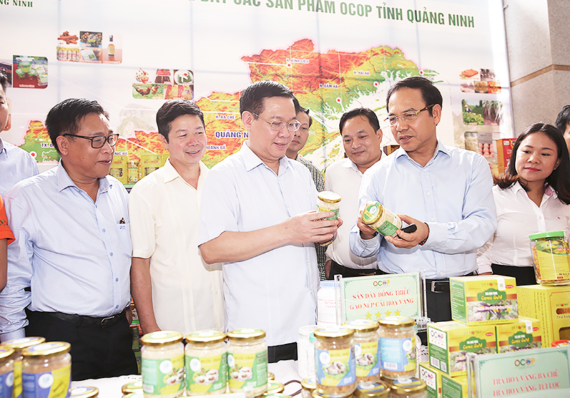 Phó Thủ tướng Vương Đình Huệ thăm quan trưng bày các sản phẩm OCOP. Ảnh: VGP/THÀNH CHUNG