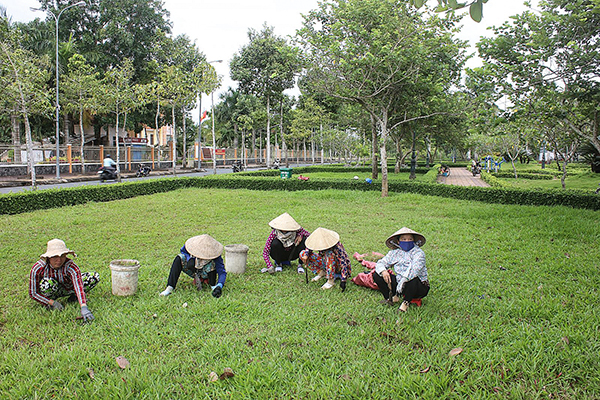 Thới Lai duy trì chăm sóc phát triển cây xanh đảm bảo cảnh quan đô thị. Ảnh: ANH KHOA