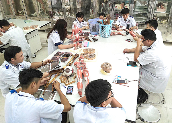 Sinh viên Trường Đại học Y Dược Cần Thơ trong giờ học. Ảnh: B.KIÊN