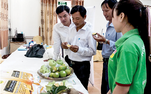 Công ty TNHH Nông sản sạch Đại Thuận Thiên quảng bá sản phẩm trái cây sạch mang thương hiệu Đại Thuận Thiên. Ảnh: MỸ THANH