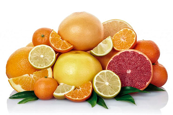 Tuy rất tốt cho sức khỏe, song trái cây họ cam quýt có thể ngăn cơ thể hấp thụ thuốc kháng sinh. Ảnh: Pinterest