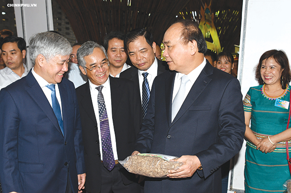Thủ tướng Nguyễn Xuân Phúc tán thành với ý kiến của các đại biểu, chuyên gia cần tìm kiếm dư địa phát triển cho nền kinh tế trong lĩnh vực nông nghiệp, đặc biệt là từ nguồn cây dược liệu. Ảnh: Chinhphu.vn