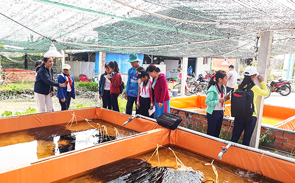 Học sinh Trường THCS Thới An Đông tham quan thực tế trại nuôi lươn. Ảnh: B.KIÊN