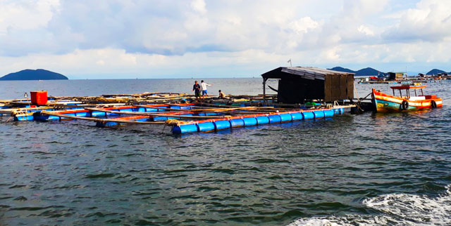 Thăm lại Sơn Hải