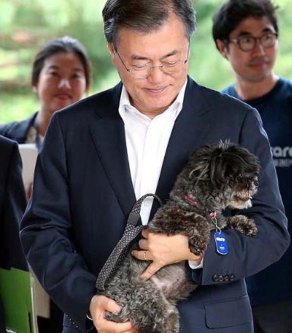 Chó trở thành thú cưng
ở Hàn Quốc như thế nào? Tổng thống Moon Jae-in và “Đệ nhất chó cưng” Tory của ông. Ảnh: CNN
