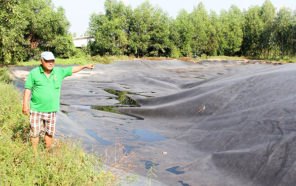 Toàn bộ chất thải của heo được thu gom vào túi biogas nhưng vẫn phát tán mùi hôi thối. Ảnh: KHẮC VIỆT