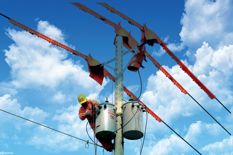 Cung ứng đủ điện, an toàn và ổn định, phục vụ người dân vui xuân, đón Tết