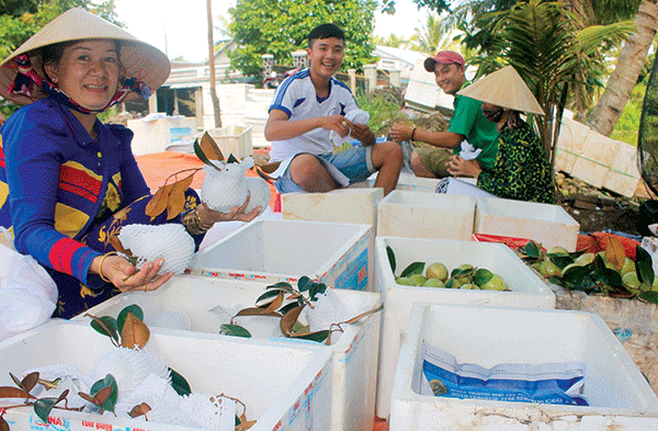 Cơ hội để xuất khẩu vươn xa