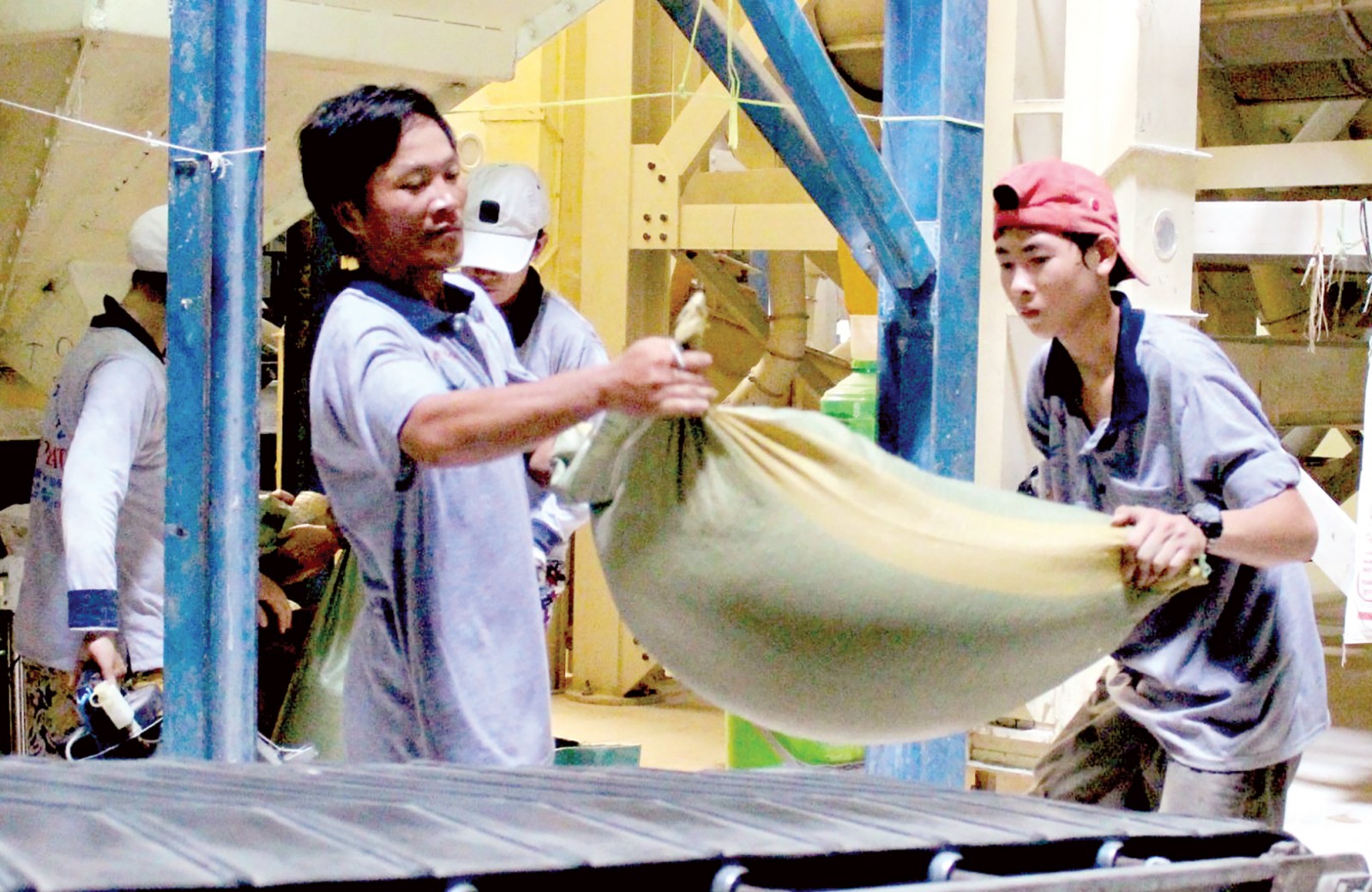 Nhiều doanh nghiệp chế biến, xuất khẩu gạo tại TP Cần Thơ đang có nhu cầu tiếp cận vốn để thu mua lúa gạo vụ đông xuân 2018-2019. Ảnh: MINH HUYỀN