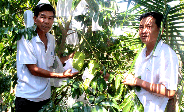 Mô hình vườn thực nghiệm nông nghiệp của thanh niên  Báo Đồng Khởi Online
