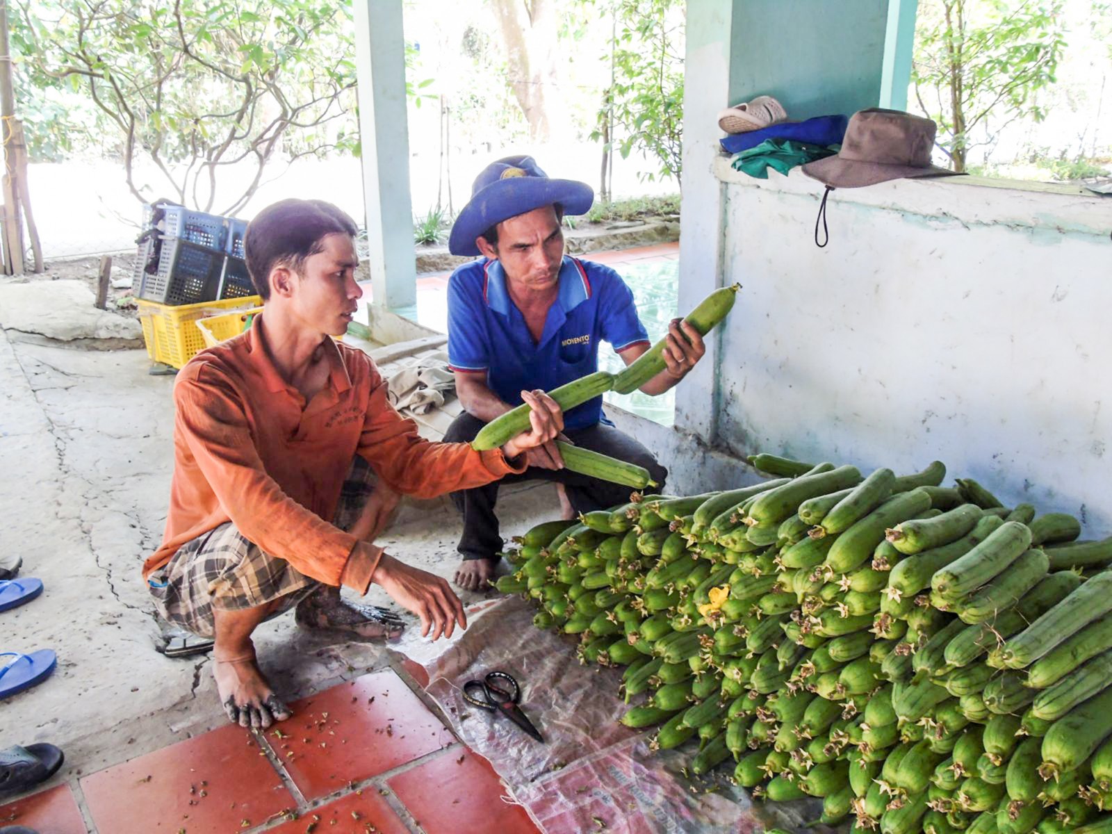 Ông Trần Quang Phục (bên phải) thăm hỏi tình hình sản xuất của bà con. Ảnh: THANH THY