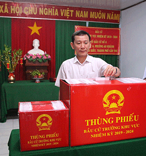 Hơn 270.000 cử tri đại diện hộ gia đình đi bầu trưởng ấp, khu vực