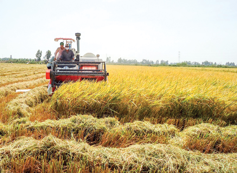 Phát triển kinh tế hợp tác ở huyện Vĩnh Thạnh