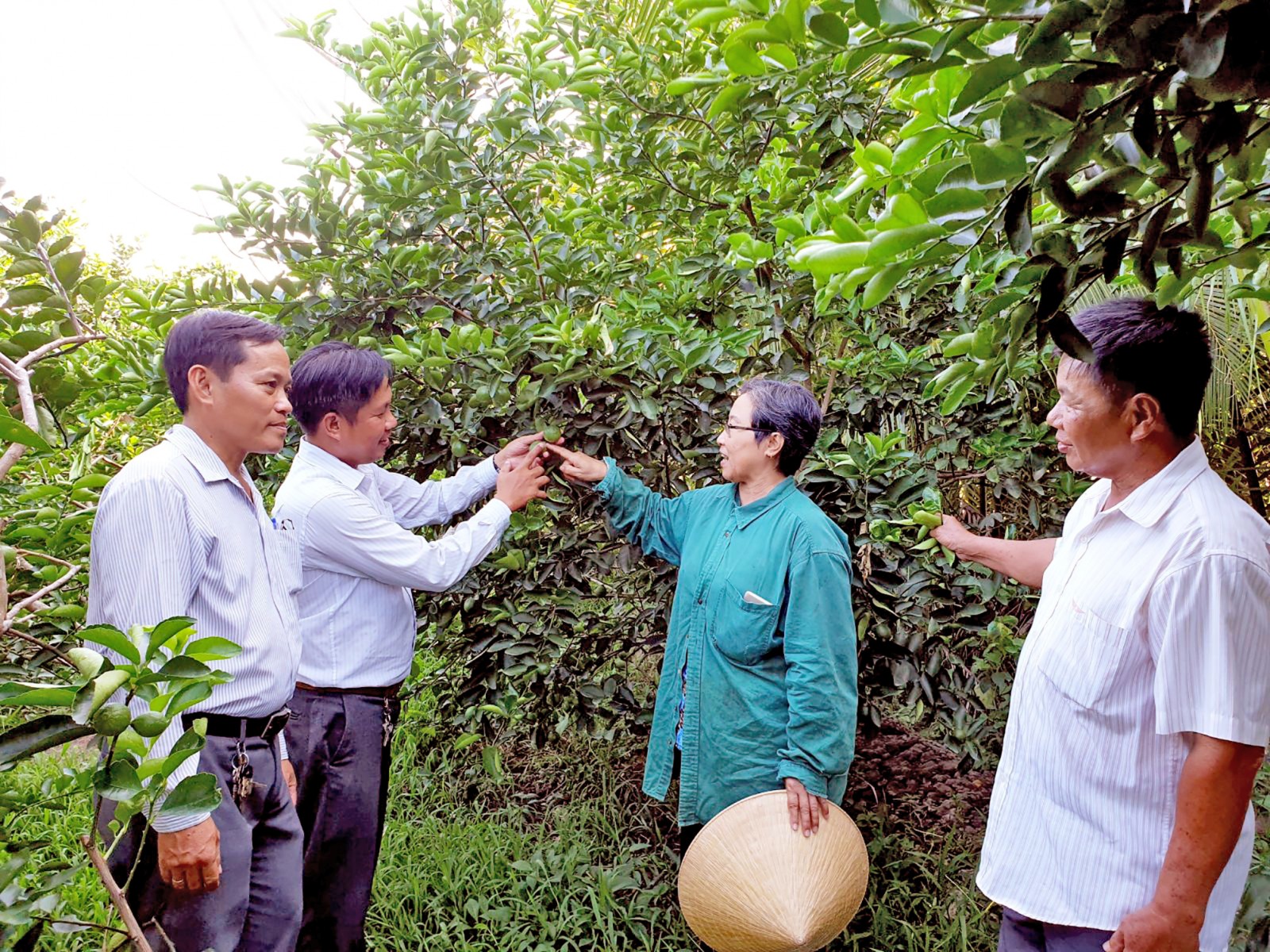 Lãnh đạo HND quận Bình Thủy đến thăm các mô hình sản xuất của hội viên. Ảnh: HỒNG VÂN