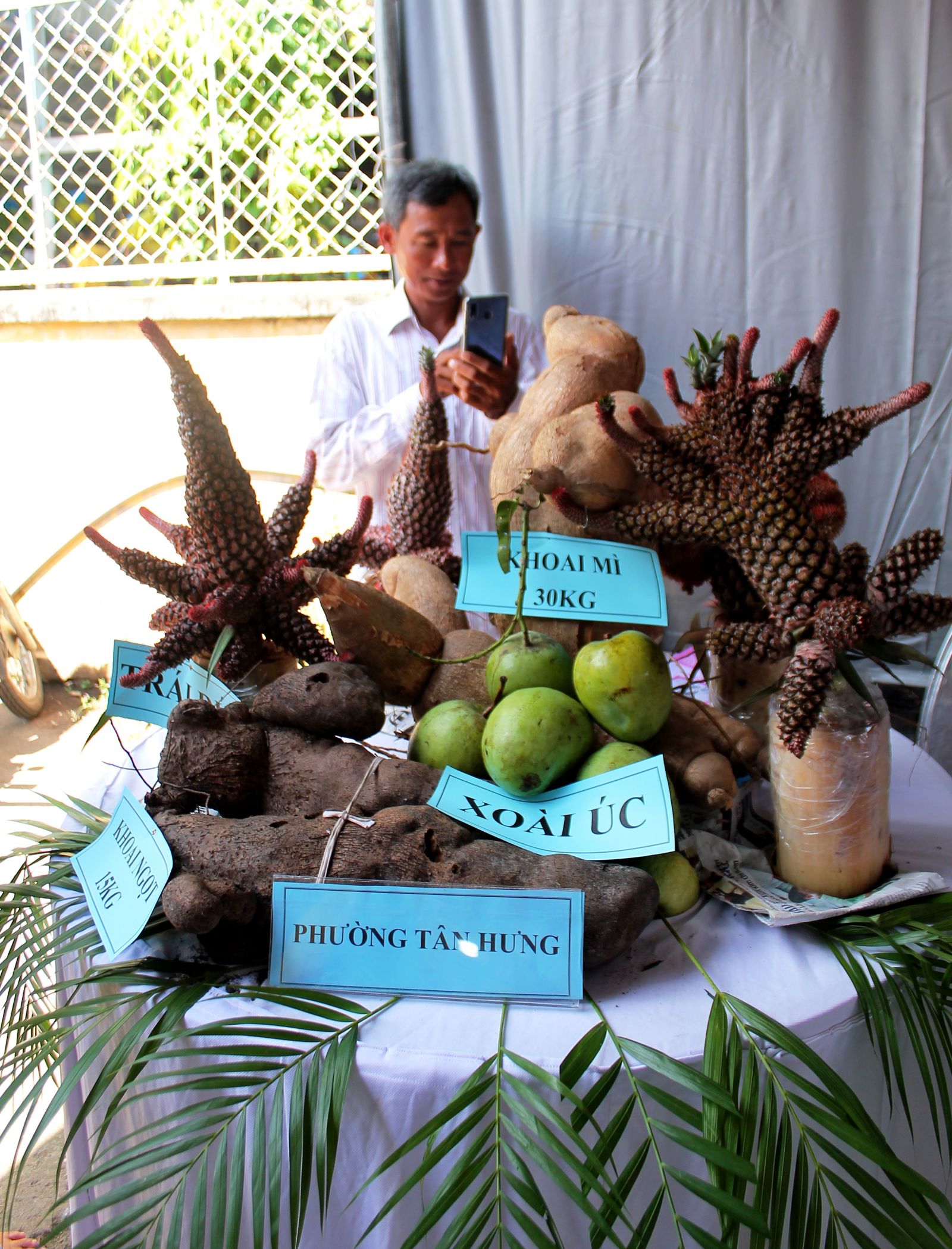 Hội thi “cây, củ quả lạ” với nhiều cây trái độc đáo là một trong những điểm thu hút tại lễ hội.