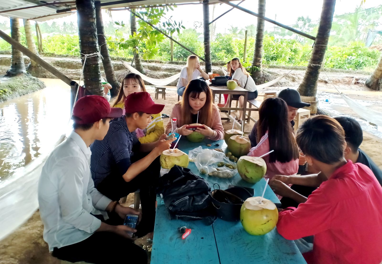 Vườn dừa là một trong những điểm đến lý tưởng khi đến Tân Lộc. Trong ảnh: khách thưởng thức dừa tươi tại vườn dừa.