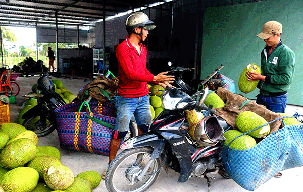 Ðể kinh tế thành phố phát triển nhanh hơn