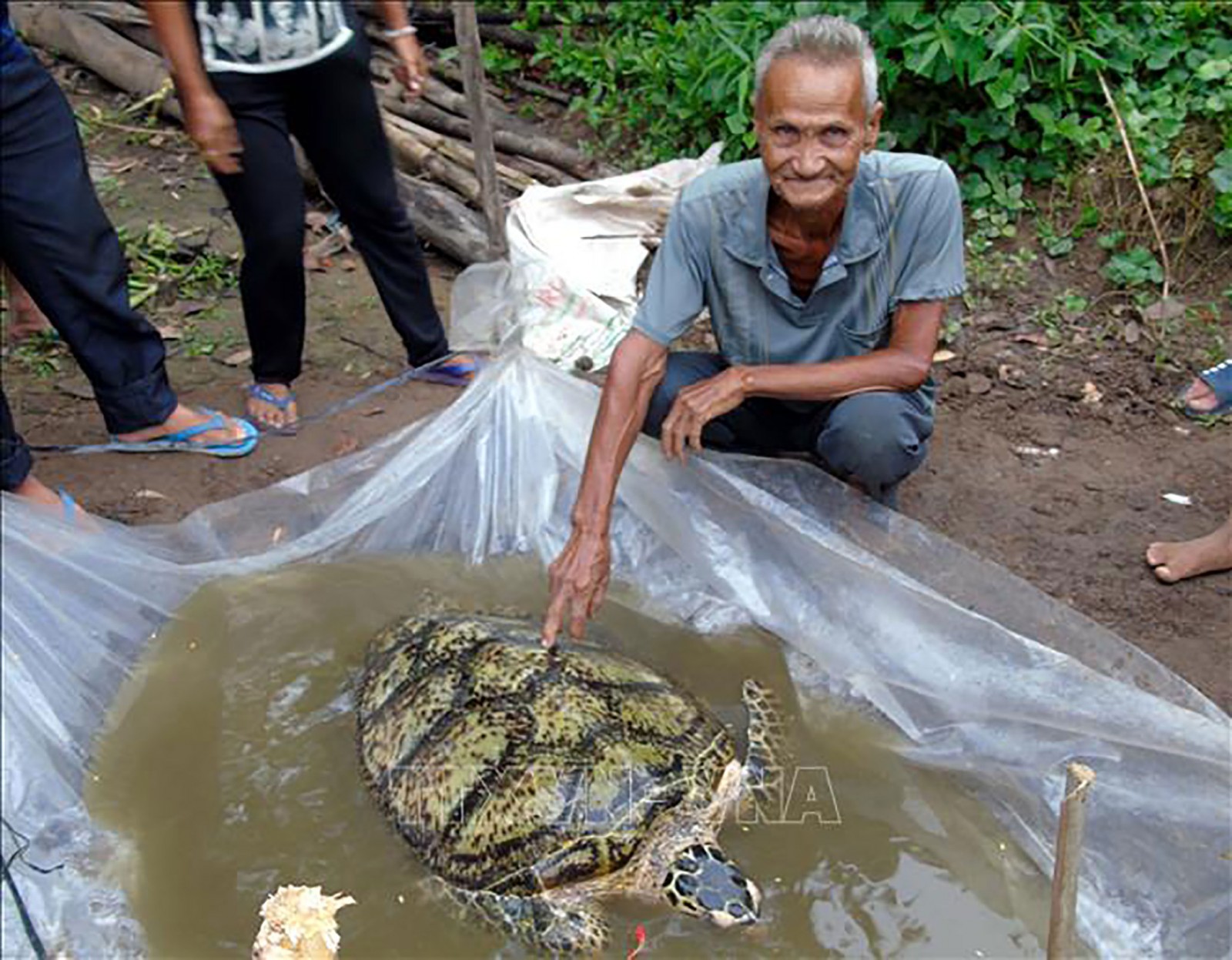 Ông Huỳnh Chánh và con rùa biển bắt được trước sông nhà.