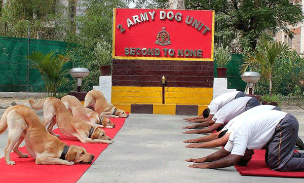 Ngoại giao Yoga