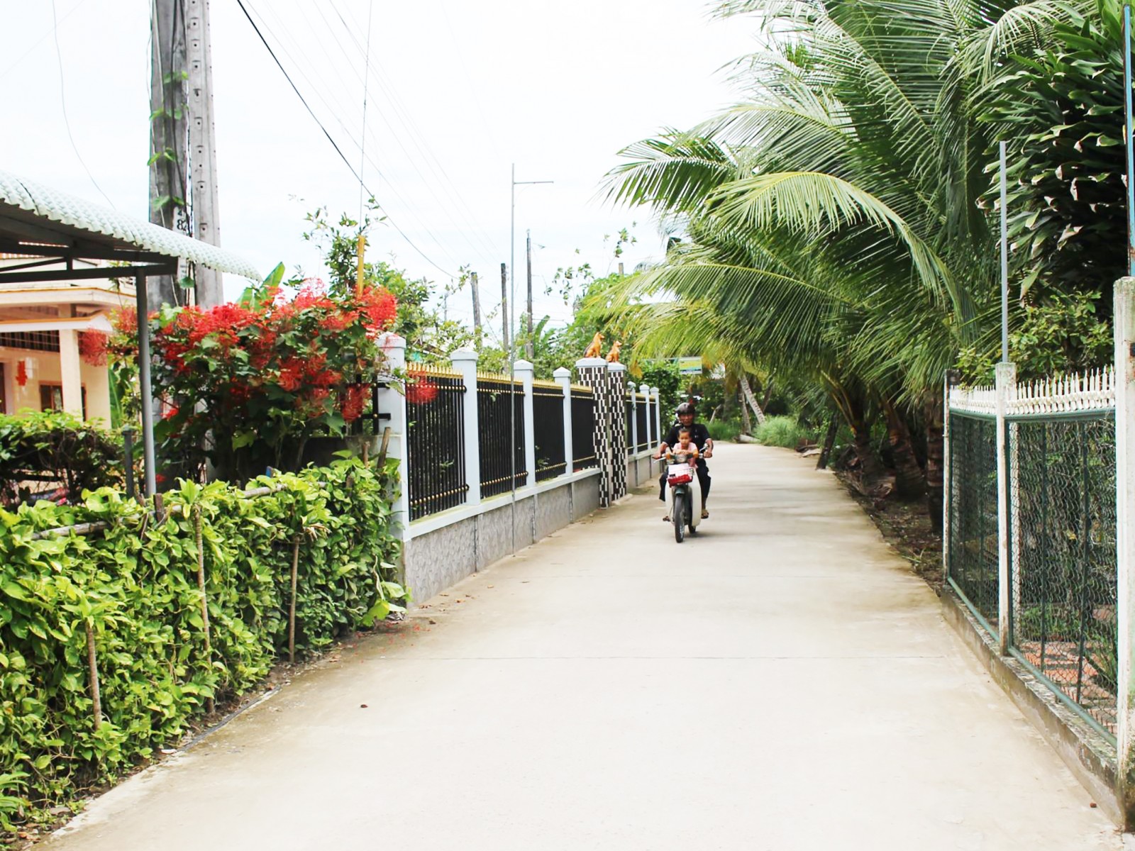 Tuyến đường bê tông ấp Thới Bình khang trang, rộng rãi, tạo điều kiện thuận lợi  cho người tham gia giao thông.