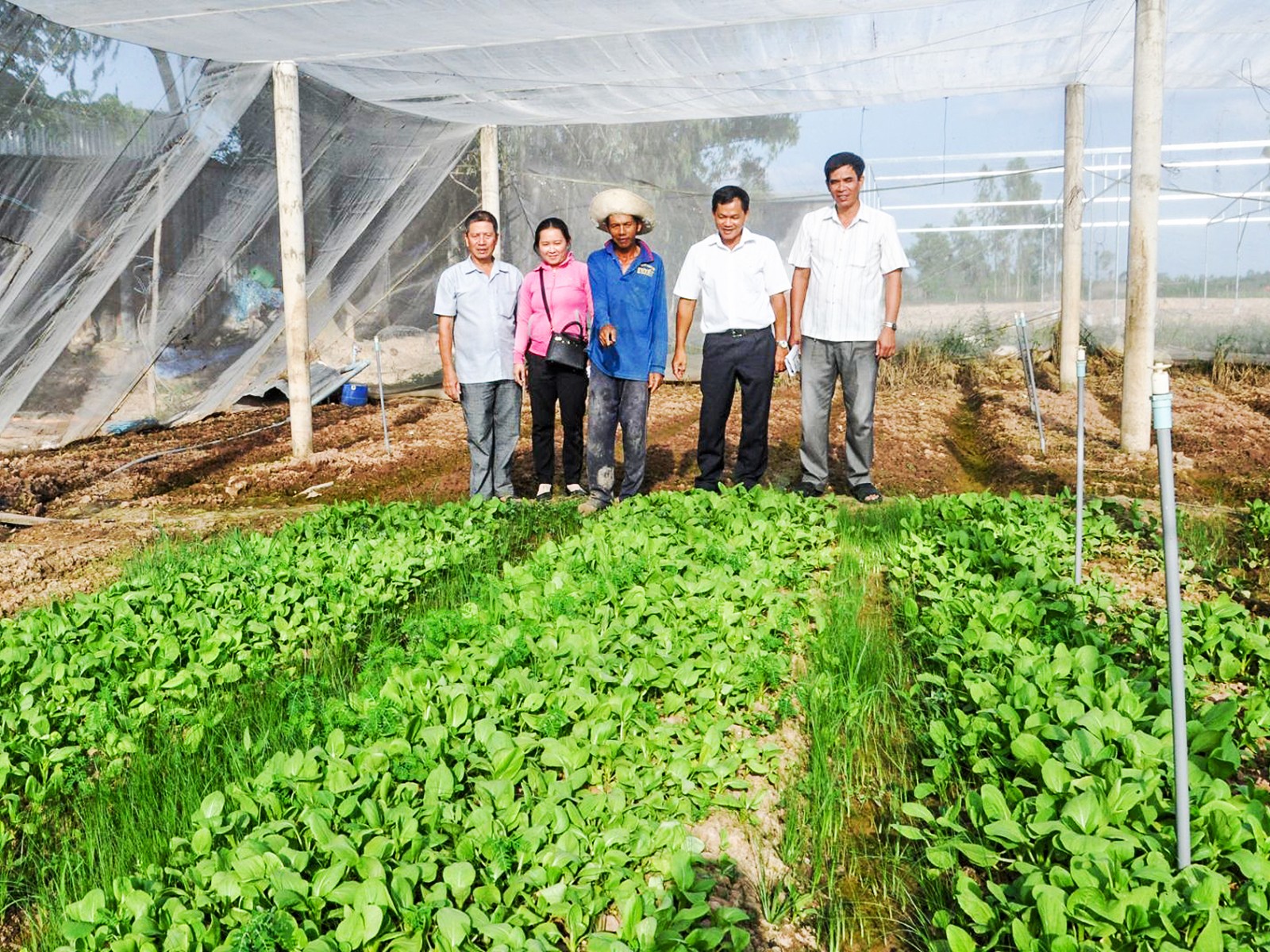 Chuẩn bị tốt nguồn cán bộ cho nhiệm kỳ mới Cán bộ phường Trung Nhứt tham quan mô hình trồng rau sạch của người dân.